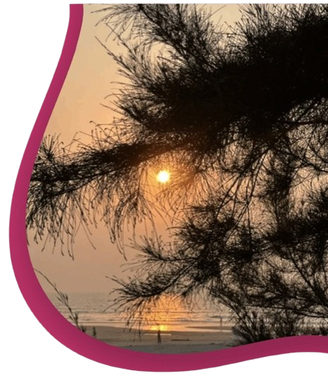 Sunset through tree branches